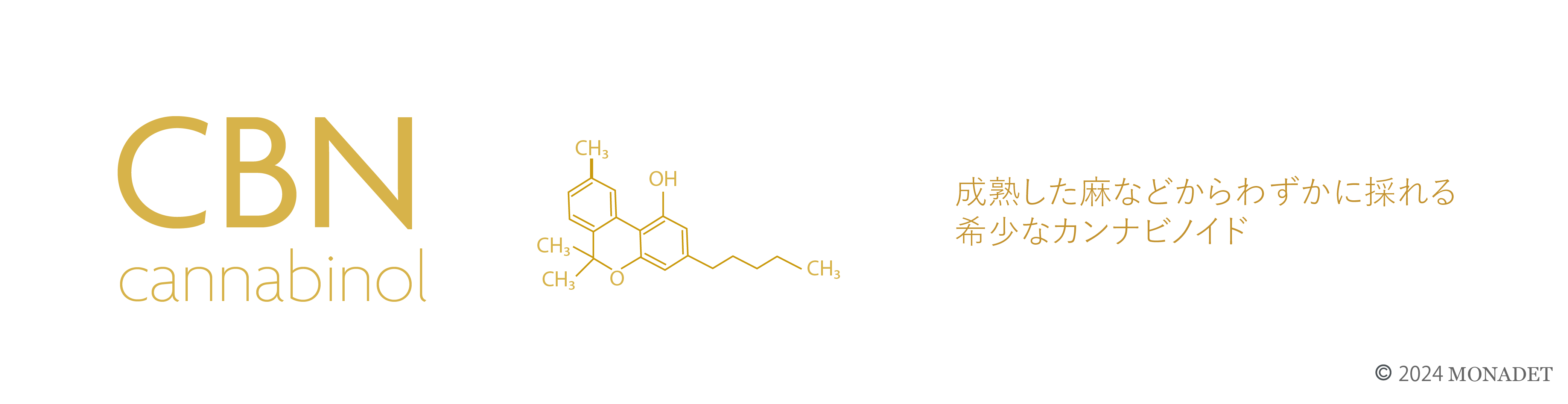 CBNとは？