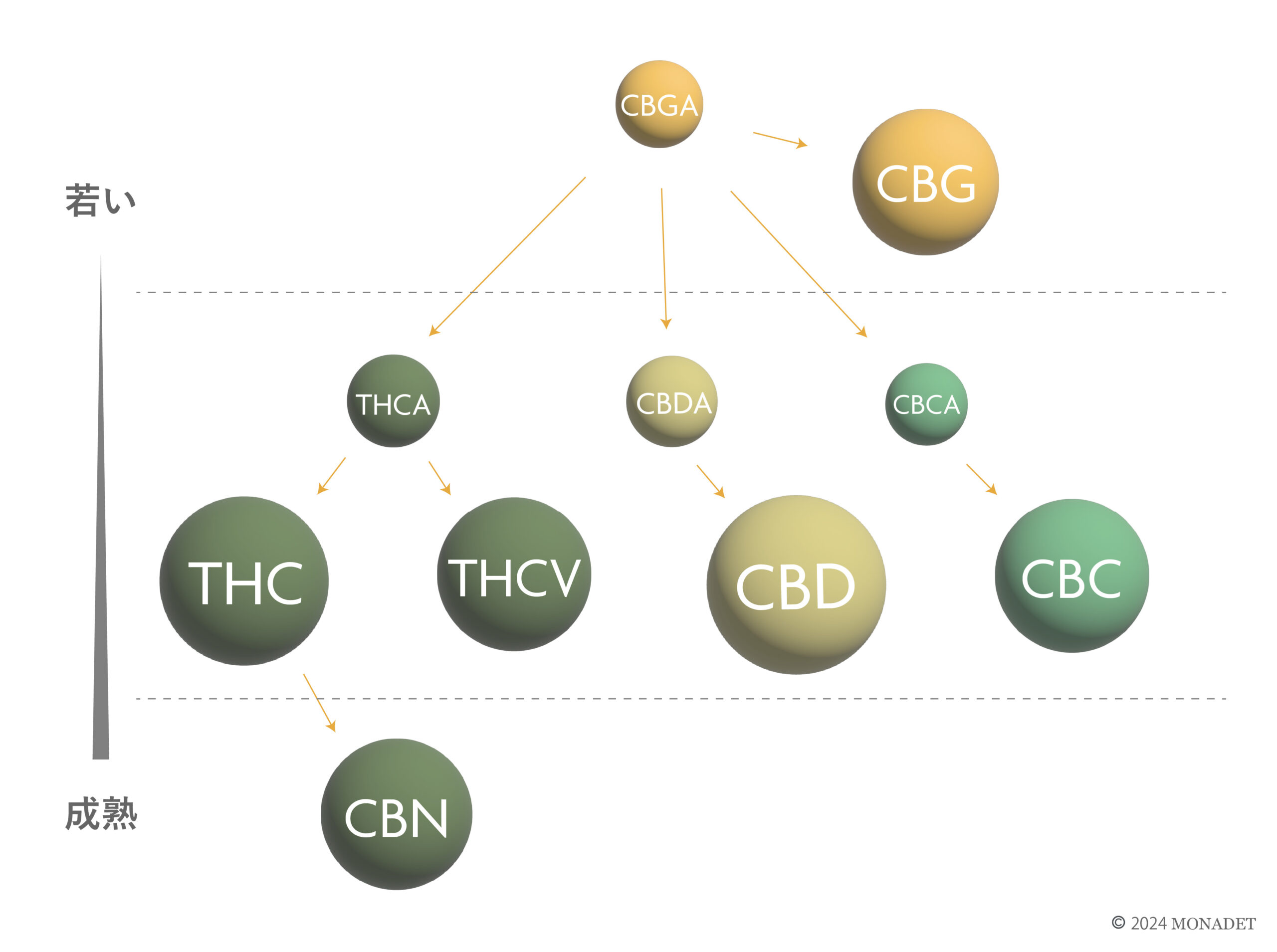 CBNの希少性