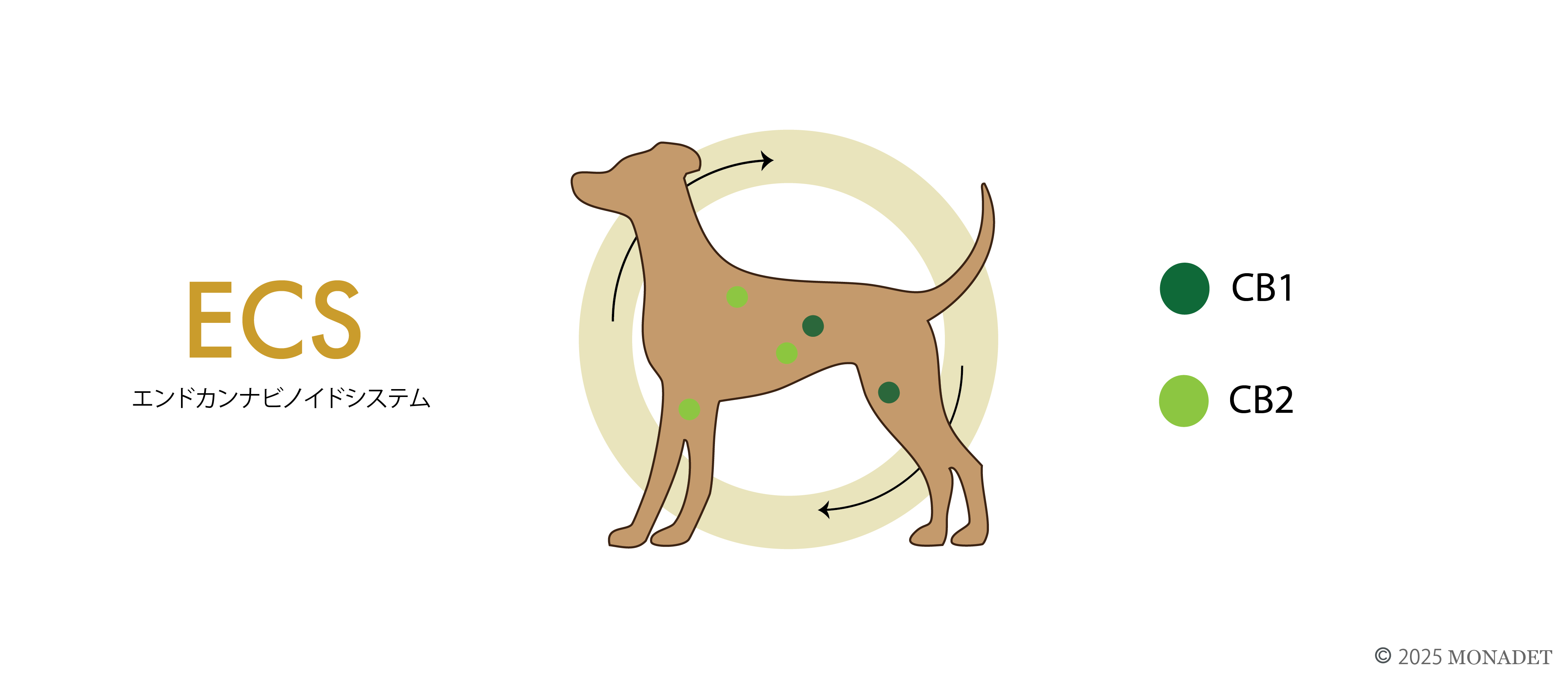 CBDは犬にとって効果がある？
