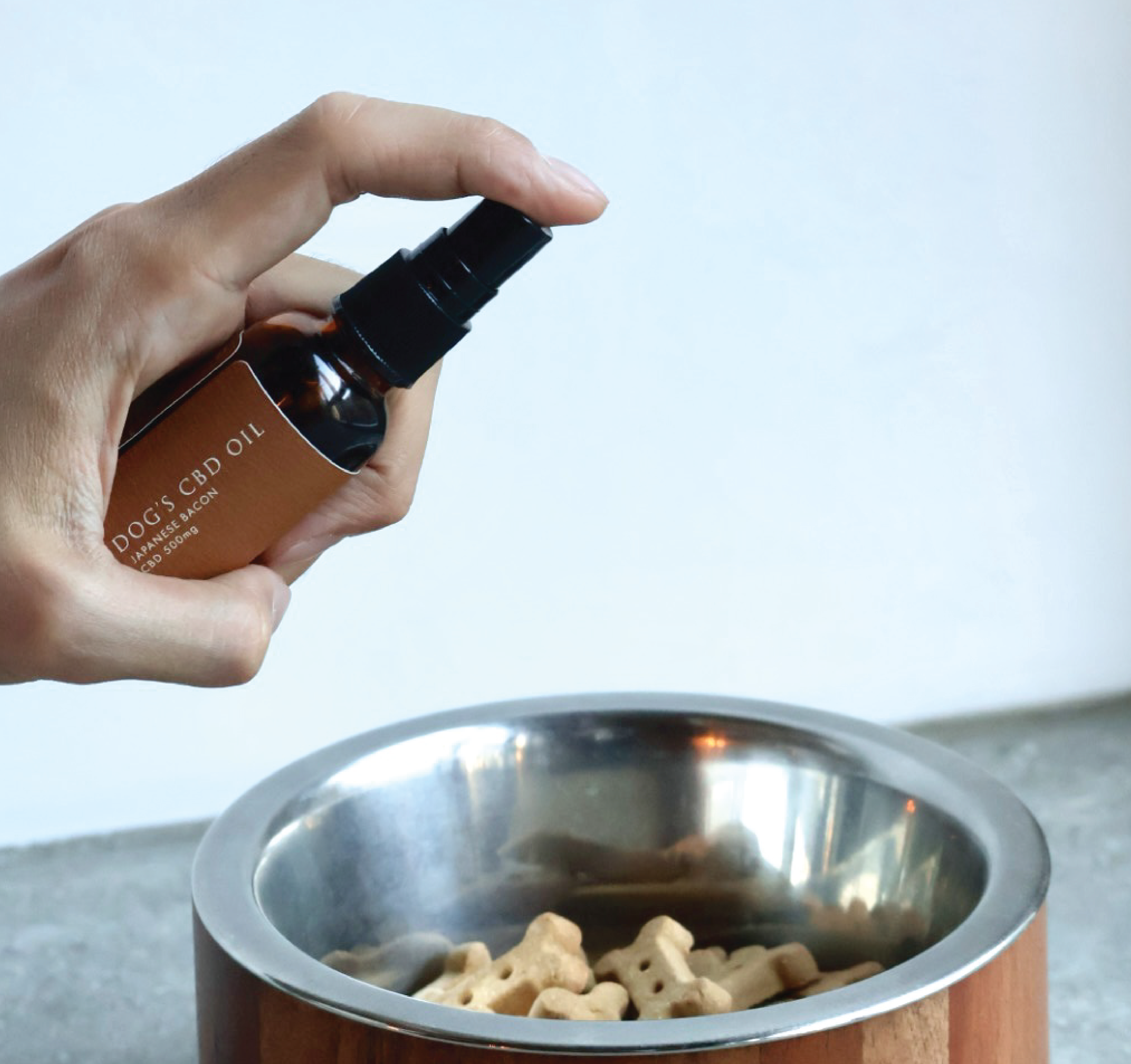 犬用CBDの使い方と注意点
