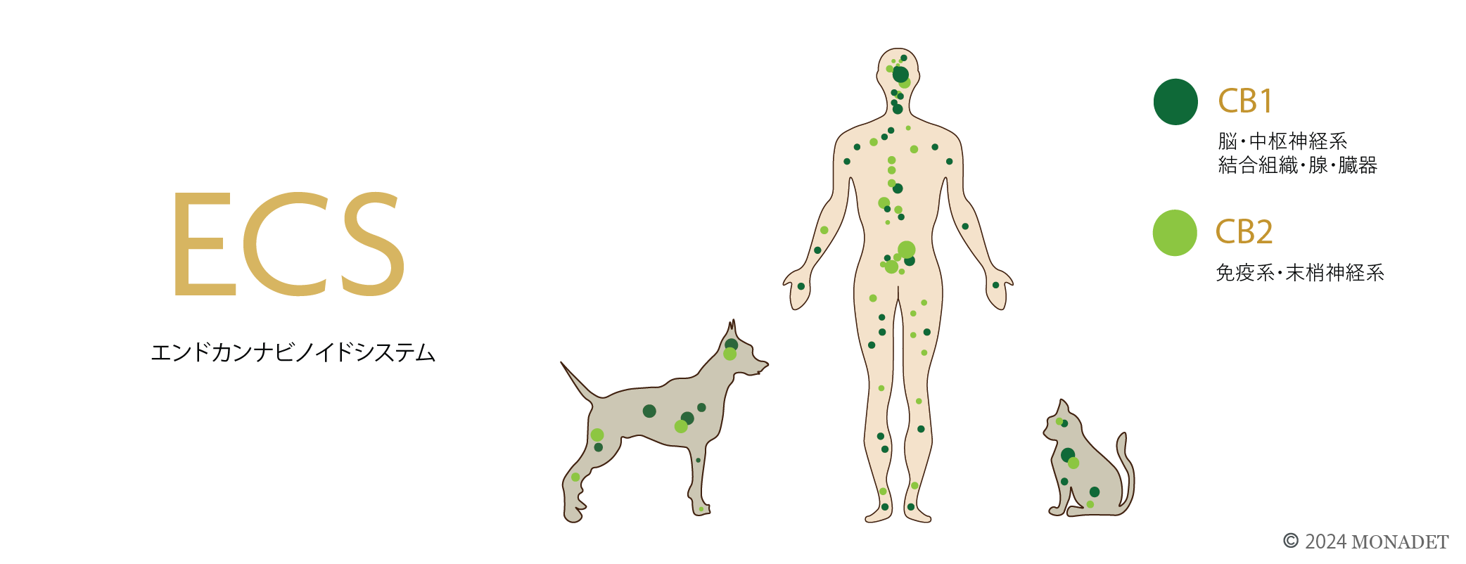 CBDは犬にとって効果がある？
