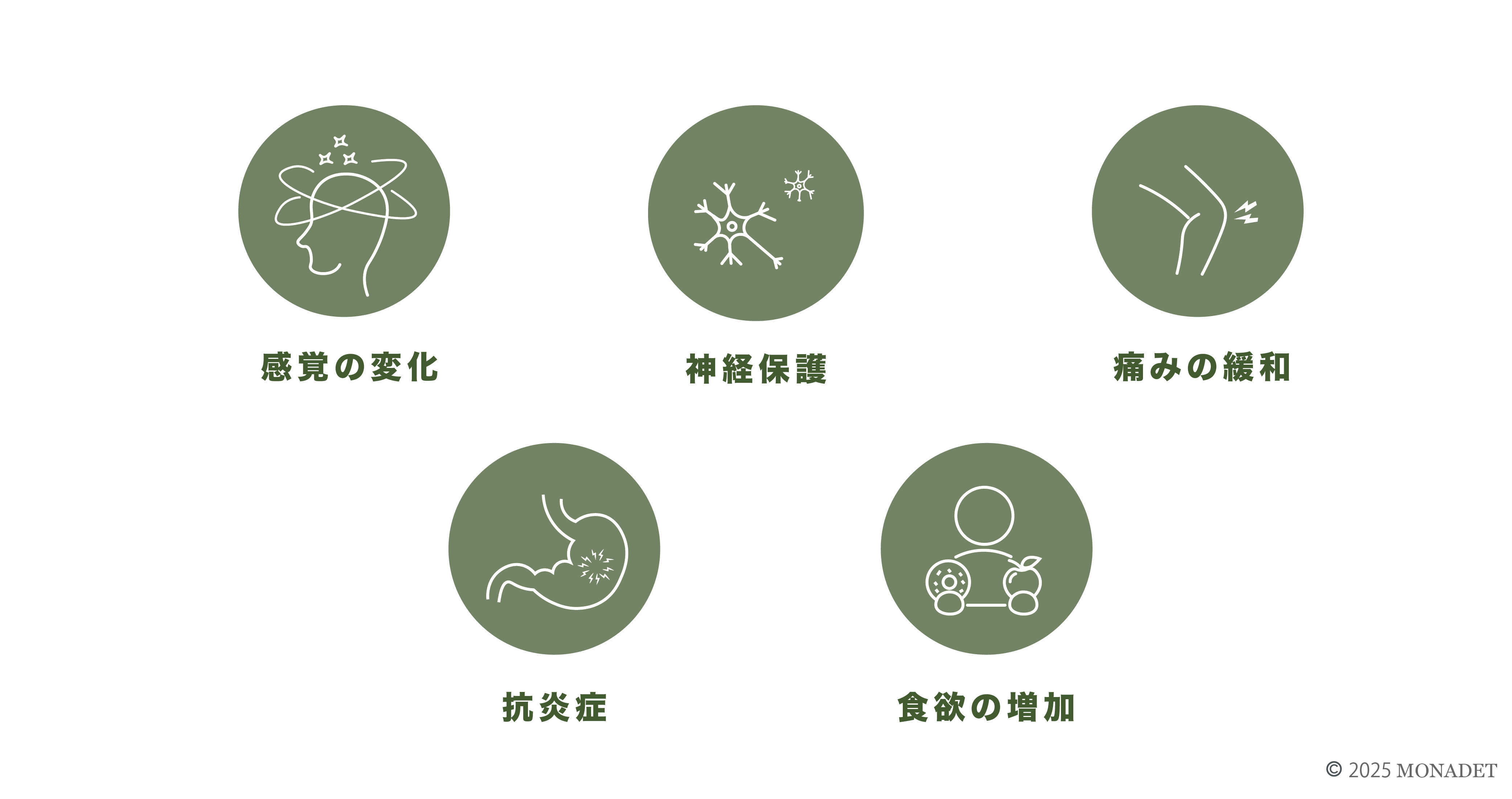 THCが持つとされている作用
