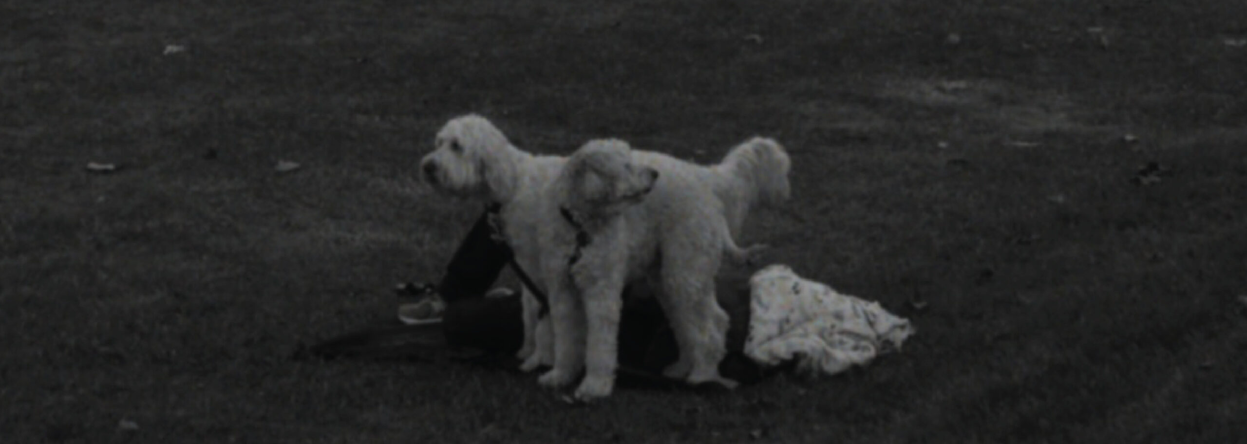 MONADET Official Website